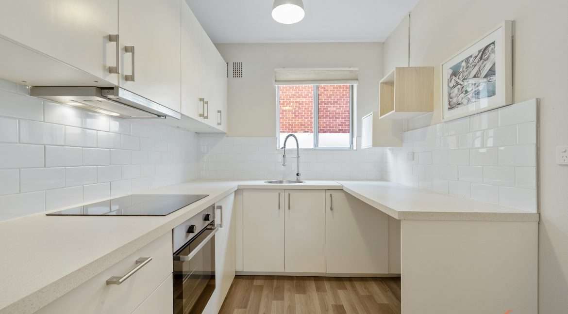 33_27 Dover Rd Botany-13_1